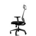 PRO ONE_6.jpg