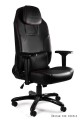 Fotel gamingowy DYNAMIQ V9